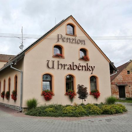 Penzion U Hraběnky Petrovice  Exterior foto